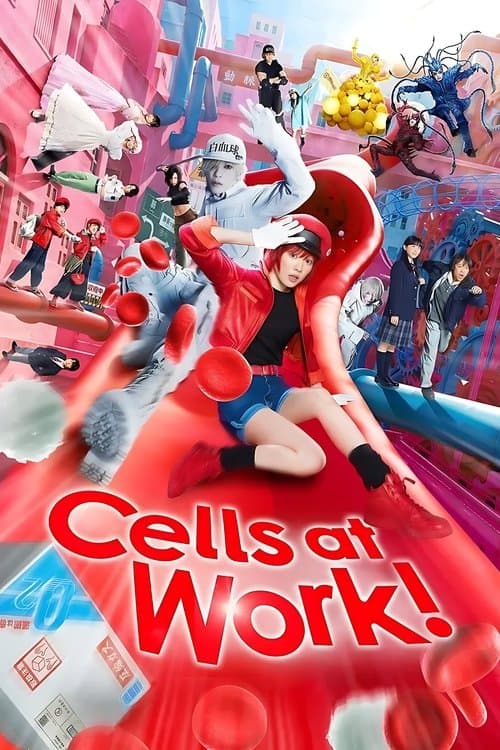 Cells at Work! - Lavori in corpo